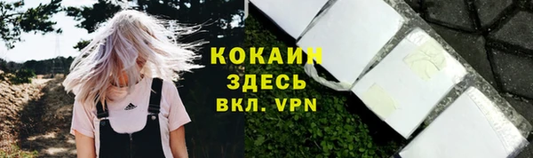 молекула духа Арсеньев