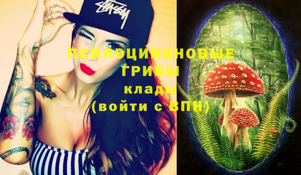 бошки Баксан